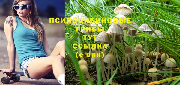 прущие грибы Киреевск