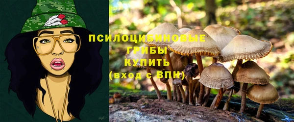 стафф Киренск